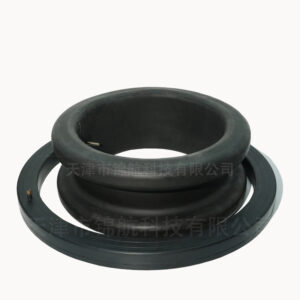 Fatigue-resistant integral molded Inflatable seal