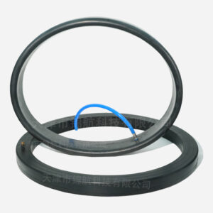 Customizable rubber inflatable seals